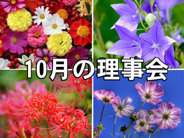 第７回理事会、開かれる
