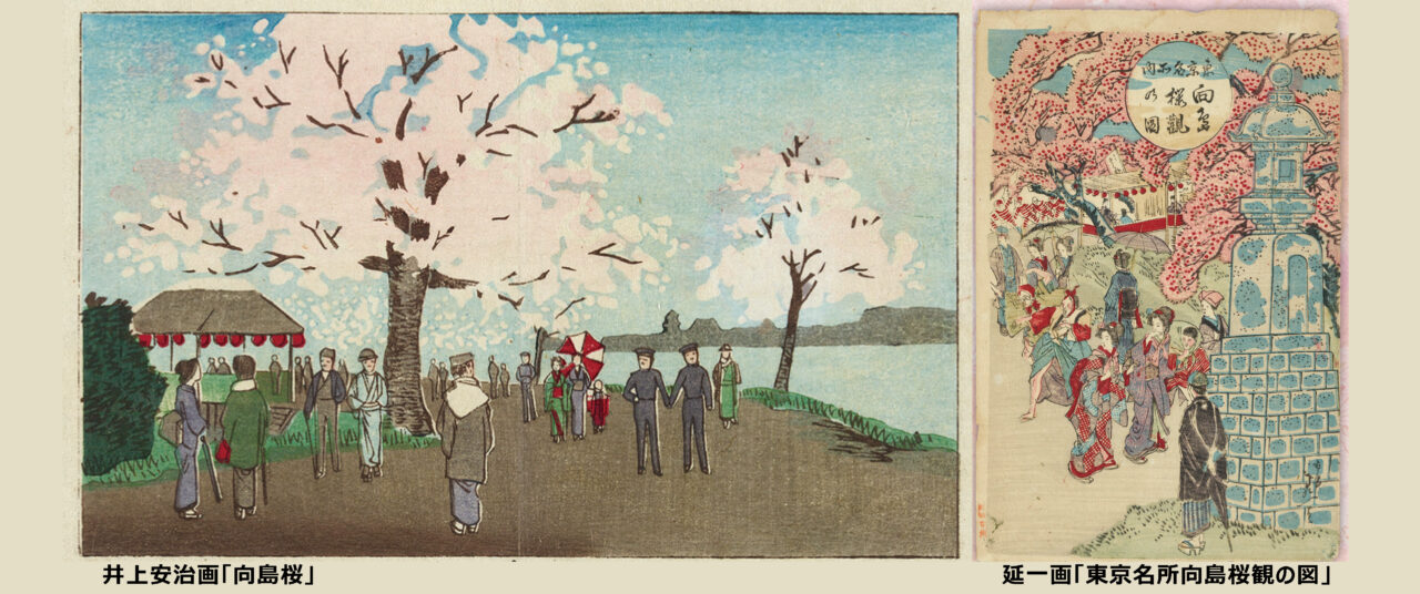 すみだ郷土文化資料館】墨堤の桜 - 墨田区 千歳三丁目町会